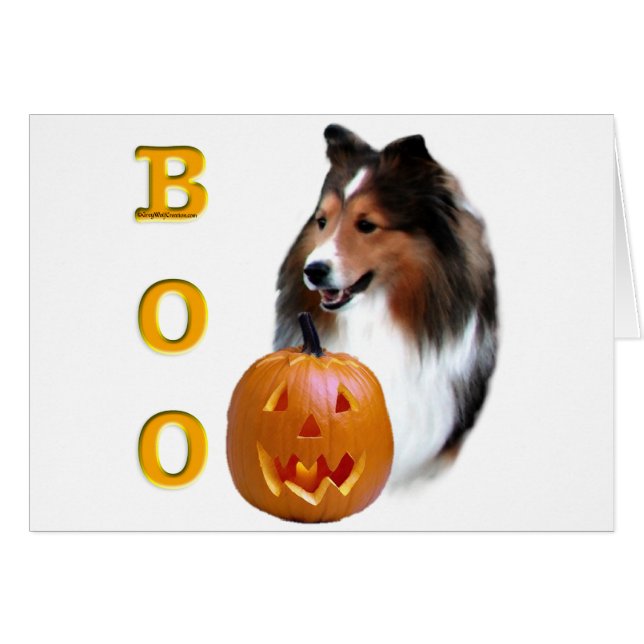 Shetland Sheepdog (sable) Boo (Voorkant Horizontaal)
