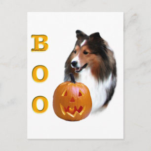 Shetland Sheepdog (sable) Boo Briefkaart