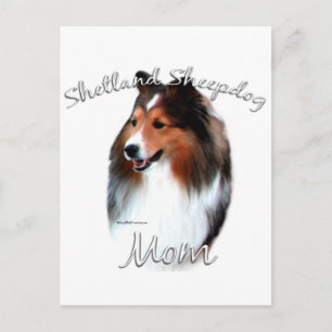 Shetland Sheepdog (sable) mam 2 Briefkaart