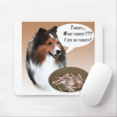 Shetland Sheepdog (sable) Turkije Muismat (Met muis)