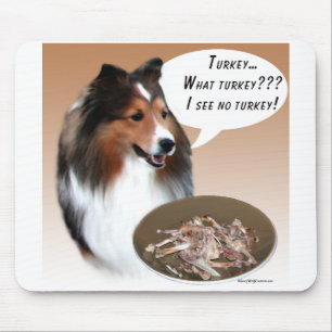 Shetland Sheepdog (sable) Turkije Muismat