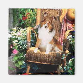 Shetland Sheepdog Sheltie Art Gifts Magneet