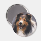 Shetland Sheepdog Sheltie Art Gifts Magneet (Voorkant / Achterkant)