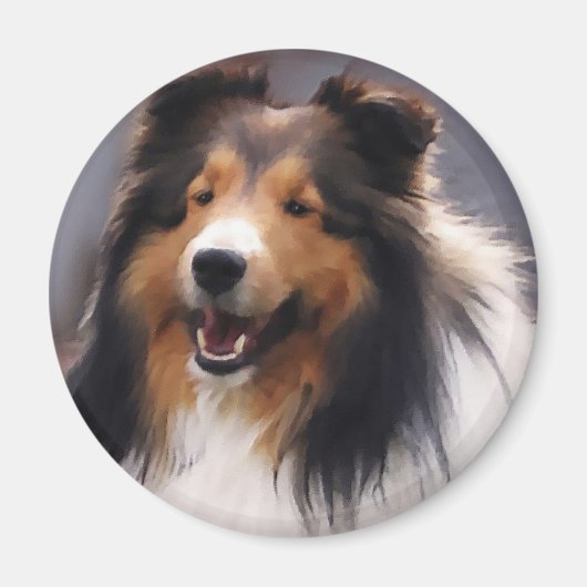 Shetland Sheepdog Sheltie Art Gifts Magneet (Voorkant)