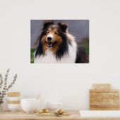 Shetland Sheepdog Sheltie Art Gifts Poster (Keuken)