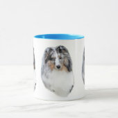 Shetland Sheepdog (Sheltie) blue merle head mok (Midden)