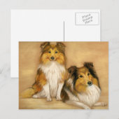 Shetland Sheepdog Sheltie Dog Art Briefkaart (Voorkant / Achterkant)