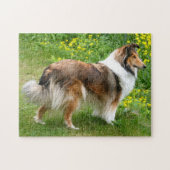 Shetland Sheepdog - Sheltie Dog Legpuzzel (Horizontaal)