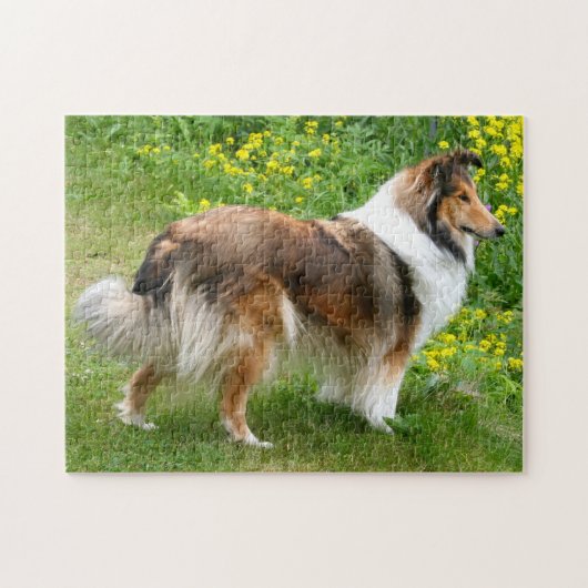 Shetland Sheepdog - Sheltie Dog Legpuzzel (Horizontaal)