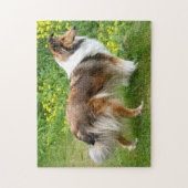 Shetland Sheepdog - Sheltie Dog Legpuzzel (Verticaal)