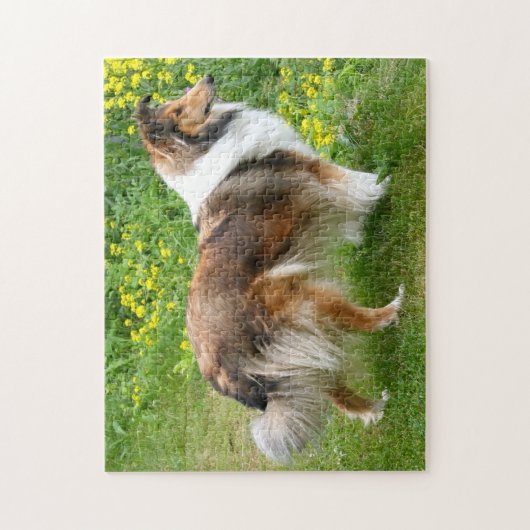 Shetland Sheepdog - Sheltie Dog Legpuzzel (Verticaal)