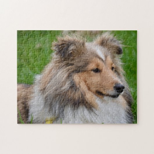 Shetland Sheepdog - Sheltie Dog Legpuzzel (Horizontaal)
