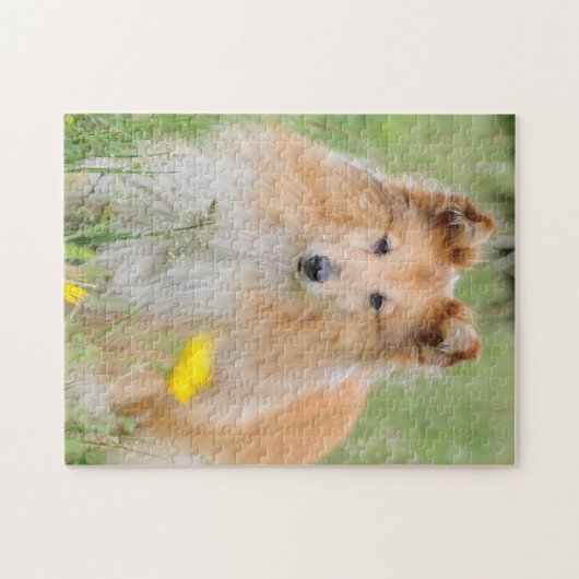 Shetland Sheepdog - Sheltie Dog Legpuzzel (Horizontaal)