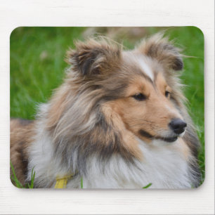 Shetland Sheepdog - Sheltie Dog Muismat