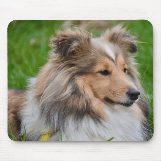 Shetland Sheepdog - Sheltie Dog Muismat (Voorkant)