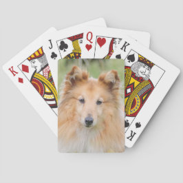 Shetland Sheepdog - Sheltie Dog Pokerkaarten
