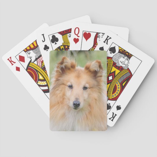 Shetland Sheepdog - Sheltie Dog Pokerkaarten (Achterkant)