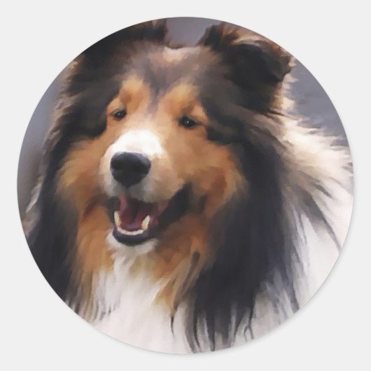 Shetland Sheepdog Sheltie Gifts Ronde Sticker (Voorkant)