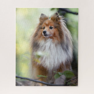 Shetland Sheepdog Sheltie kleine hond in het bos Legpuzzel