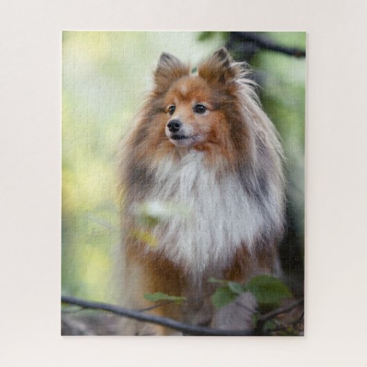 Shetland Sheepdog Sheltie kleine hond in het bos Legpuzzel (Verticaal)