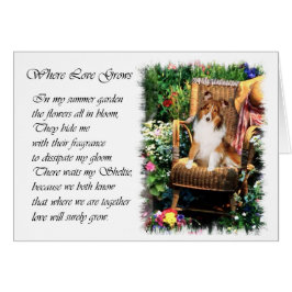Shetland Sheepdog Sheltie Kunst Cadeaus
