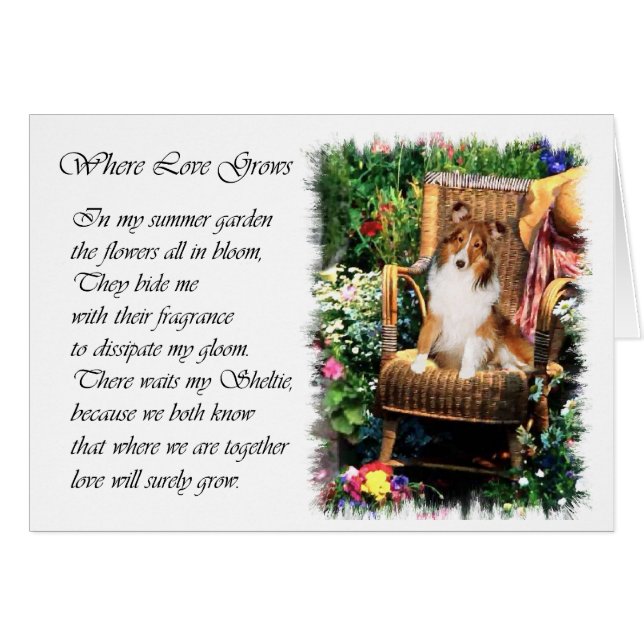 Shetland Sheepdog Sheltie Kunst Cadeaus (Voorkant Horizontaal)
