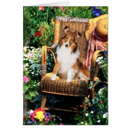Shetland Sheepdog Sheltie Kunst Cadeaus