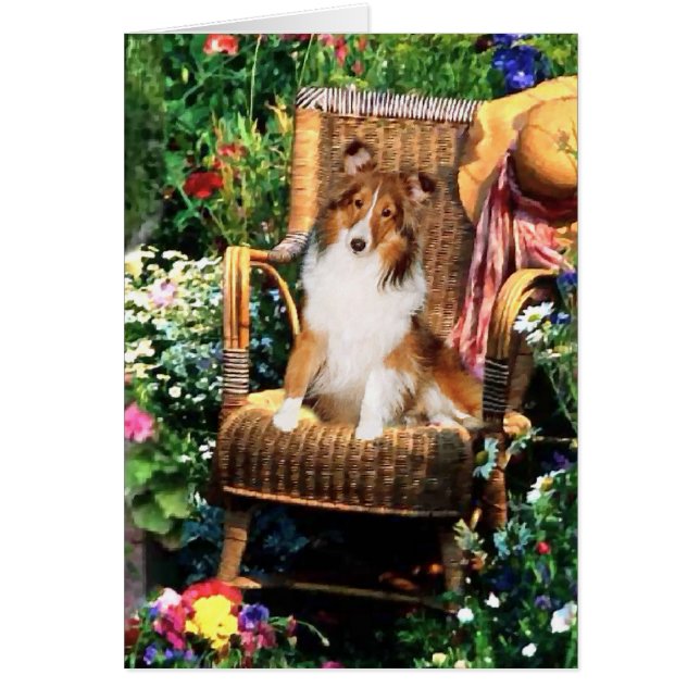 Shetland Sheepdog Sheltie Kunst Cadeaus (Voorkant)