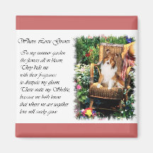 Shetland Sheepdog Sheltie Kunst Cadeaus