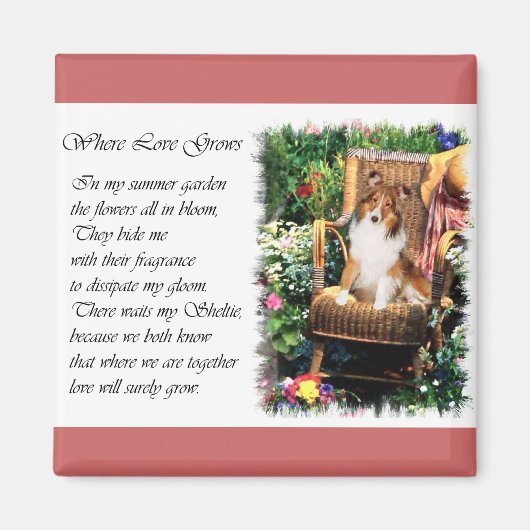 Shetland Sheepdog Sheltie Kunst Cadeaus Magneet (Voorkant)