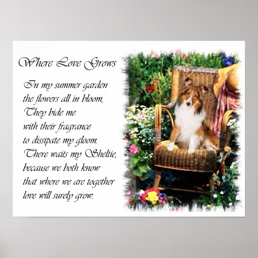 Shetland Sheepdog Sheltie Kunst Cadeaus Poster (Voorkant)