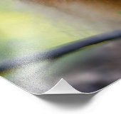 Shetland Sheepdog Sheltie Little dog in forest Jig Foto Afdruk (Hoek)