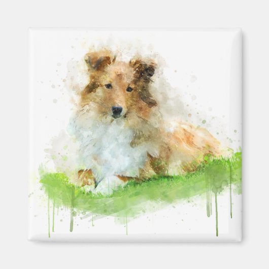 Shetland Sheepdog / Sheltie Magneet (Voorkant)