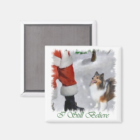 Shetland Sheepdog Sheltie met kerstcadeaus Magneet (Voorkant / Achterkant)