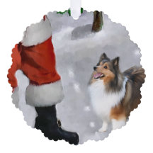 Shetland Sheepdog Sheltie met kerstcadeaus