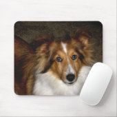 Shetland Sheepdog ~ Sheltie Mousepad Muismat (Met muis)