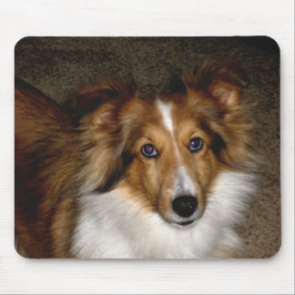 Shetland Sheepdog ~ Sheltie Mousepad Muismat