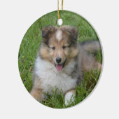 Shetland Sheepdog - Sheltie Puppy Dog Keramisch Ornament (Links)