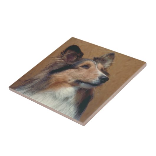 Shetland Sheepdog Sheltie Tile Tegeltje (Zijkant)