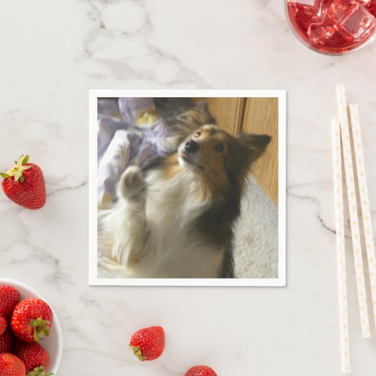 Shetland Sheepdog Smekend Servet (Insitu)