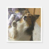 Shetland Sheepdog Smekend Servet (Voorkant)