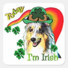 Shetland Sheepdog St Patricks Vierkante Sticker