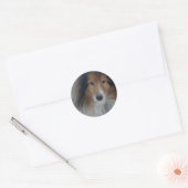 Shetland Sheepdog Stickers (Envelop)