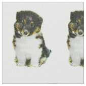 Shetland Sheepdog Stof (Close Up)