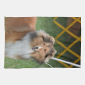 Shetland Sheepdog Theedoek (Horizontaal)