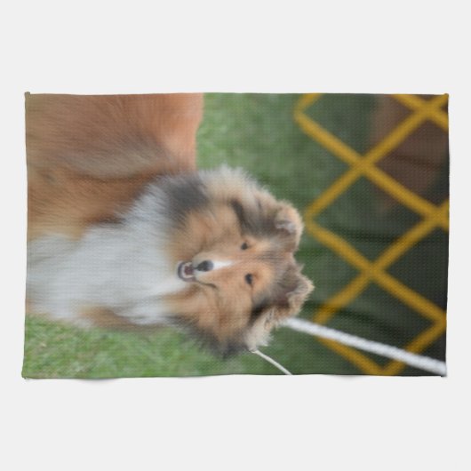 Shetland Sheepdog Theedoek (Horizontaal)