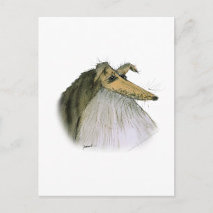 Shetland Sheepdog, tony fernandes Briefkaart