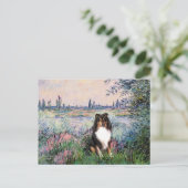 Shetland Sheepdog (Tri) - Aan de Seine Briefkaart (Staand voorkant)