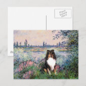 Shetland Sheepdog (Tri) - Aan de Seine Briefkaart (Voorkant / Achterkant)
