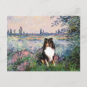 Shetland Sheepdog (Tri) - Aan de Seine Briefkaart